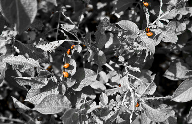 Similar image 254952