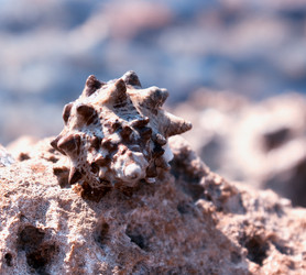 Similar image 254960