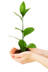 Similar image 254970