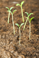 Similar image 254975