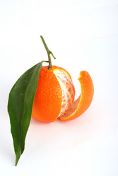 Similar image 255016