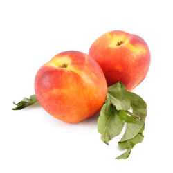 Similar image 255023