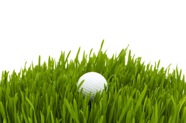 Similar image 255025