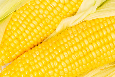 Similar image 255082