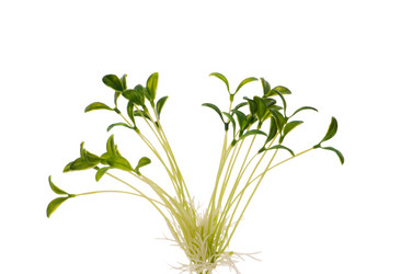 Similar image 255106