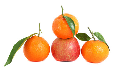 Similar image 255122