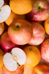 Similar image 255132