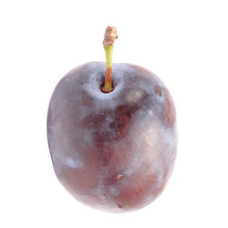 Similar image 255133