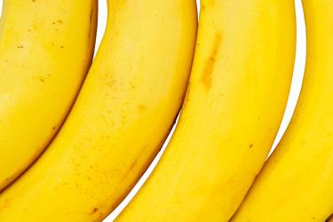 Similar image 255144