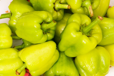 Similar image 255146