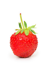 Similar image 255161