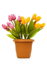 Similar image 255237