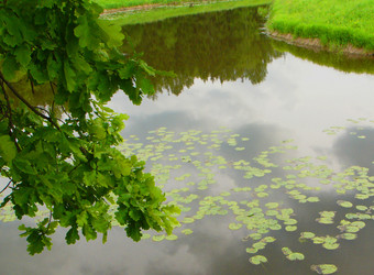 Similar image 255257