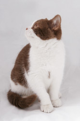 Similar image 255310