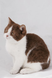 Similar image 255311