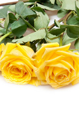 Similar image 255332