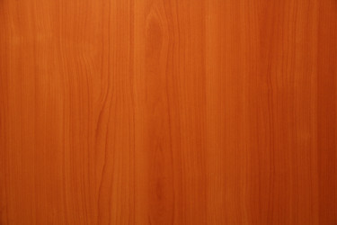 Similar image 255369