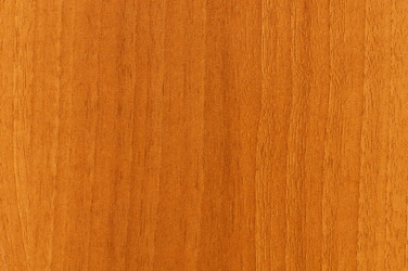 Similar image 255373