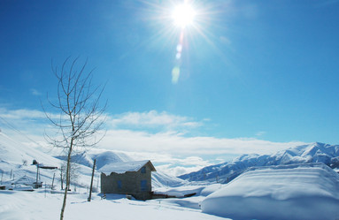 Similar image 255393