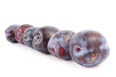 Similar image 255449