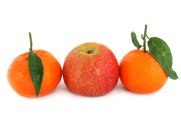 Similar image 255451