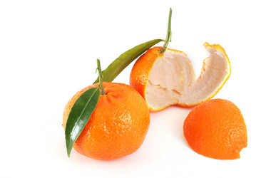 Similar image 255454