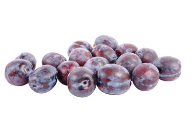 Similar image 255458