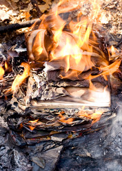 Similar image 255460