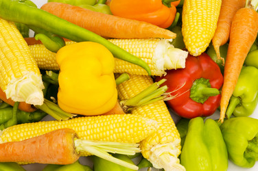 Similar image 255463