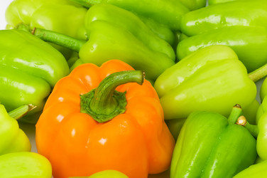 Similar image 255465