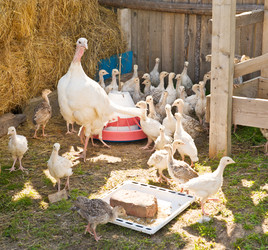 Similar image 255473