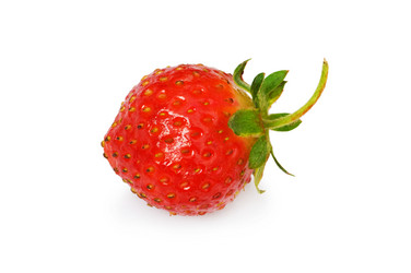 Similar image 255475