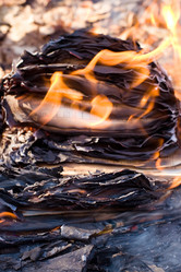 Similar image 255497