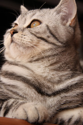 Similar image 255521