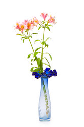 Similar image 255527