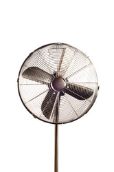 Similar image 255529