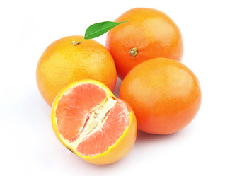 Similar image 255530