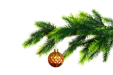 Similar image 255573