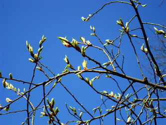 Similar image 255575