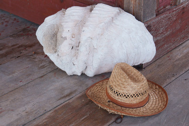 Similar image 255585