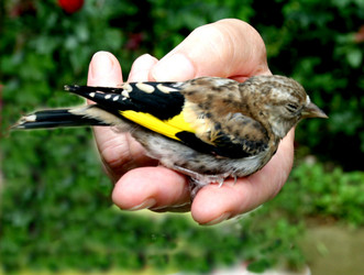 Similar image 255623