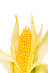 Similar image 255624