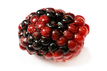 Similar image 255627