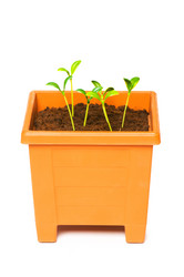 Similar image 255632