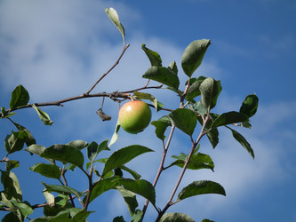 Similar image 255651