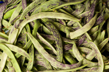 Similar image 255663