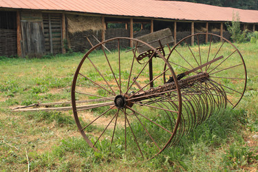 Similar image 255695