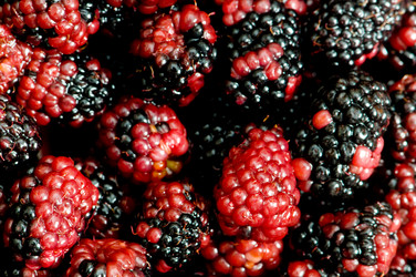 Similar image 255698