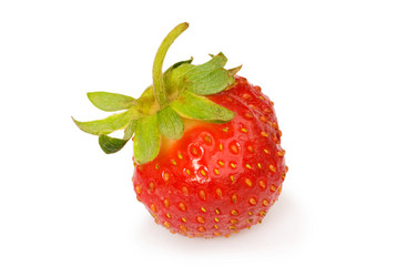 Similar image 255703