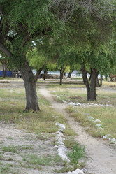 Similar image 255705